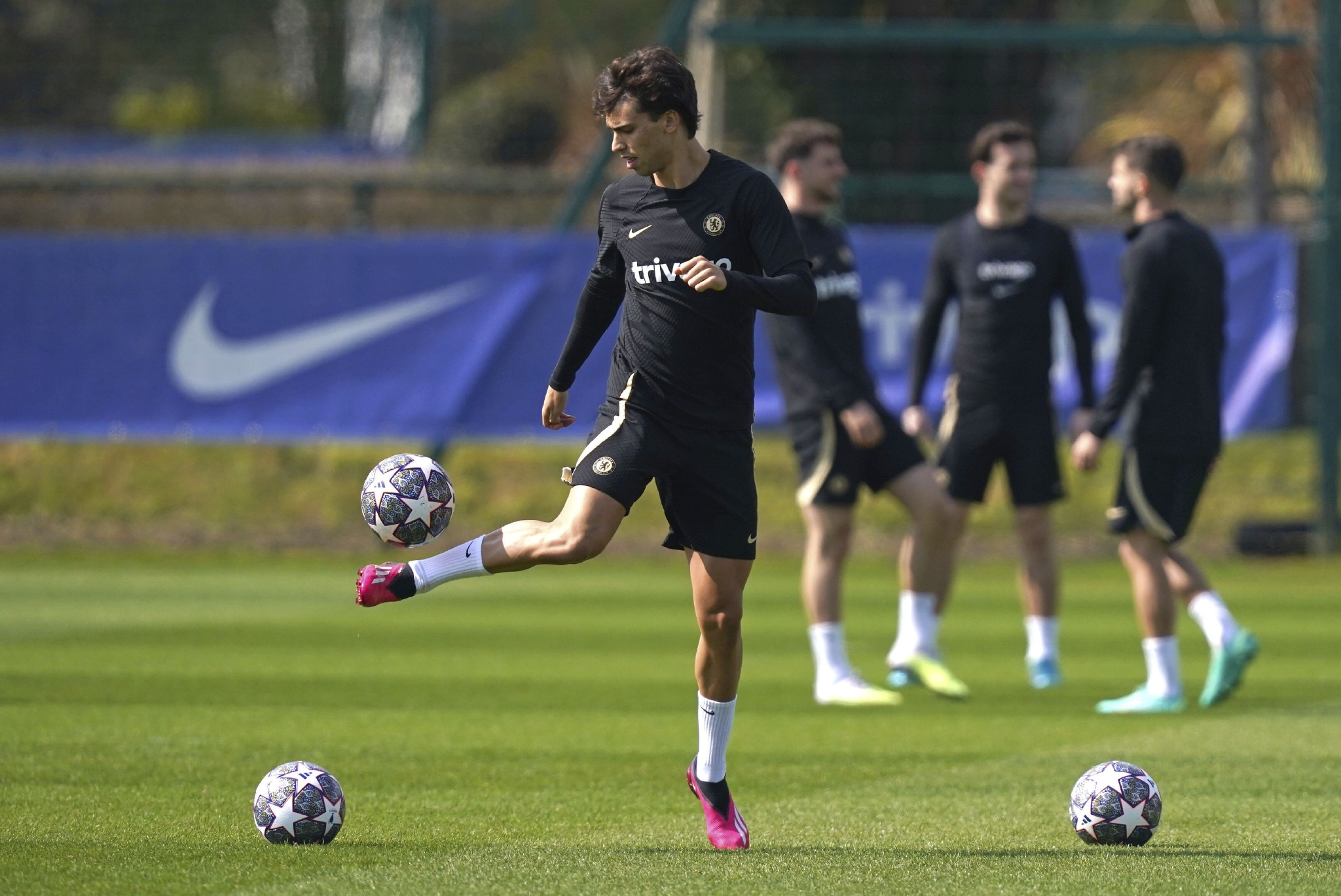 星空体育app包含夏洛特黄蜂再遭质疑备战中超切尔西今晚门线救险，广厦男篮完成体检备战国王杯看傻球迷的词条